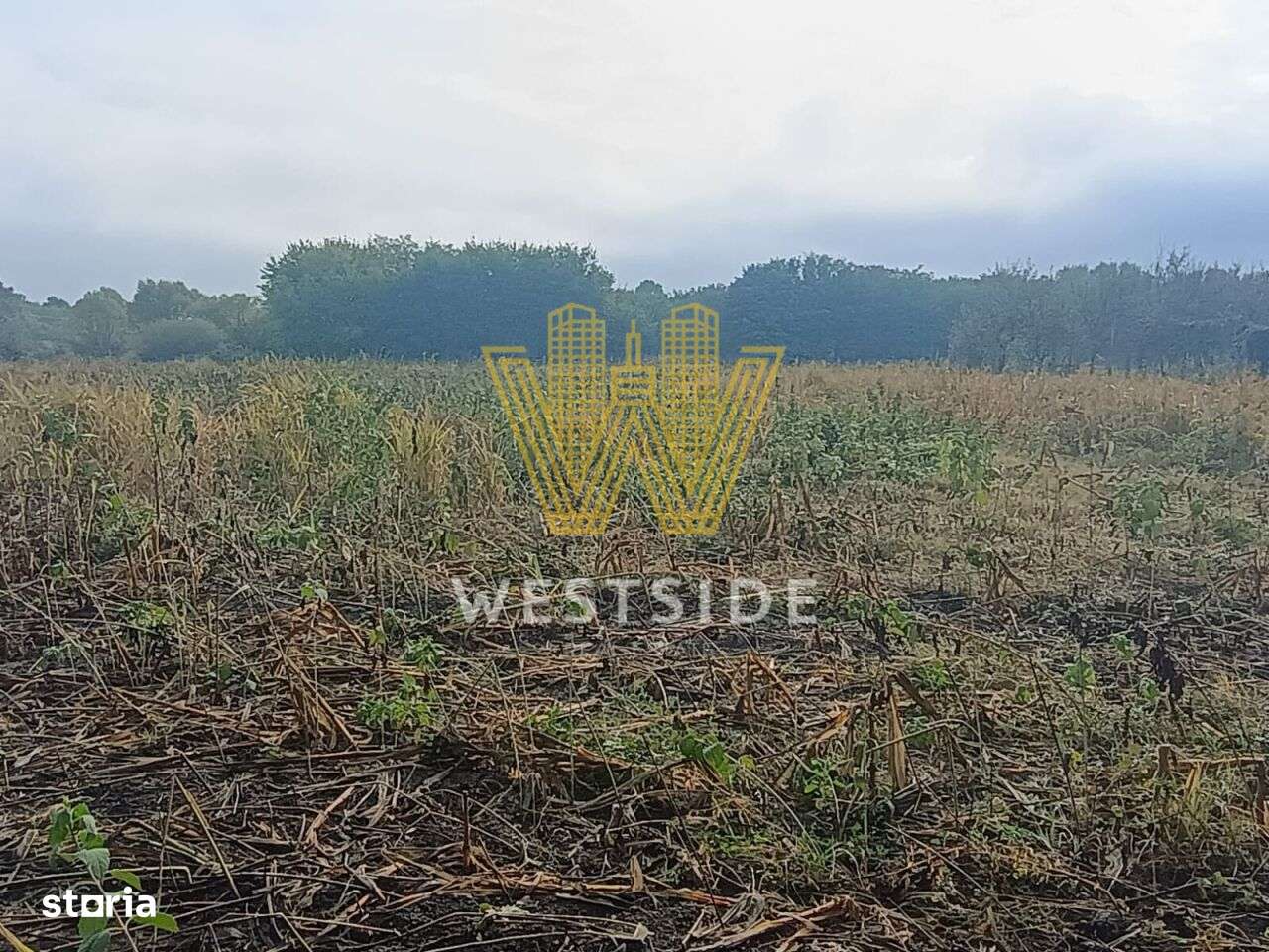 Teren de vanzare, in Ghertenis, Berzovia - Imagine principală: 2/3