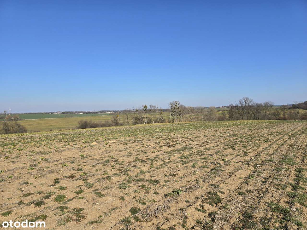 3 z 7 działek budowlanych w Lubiatówku-9