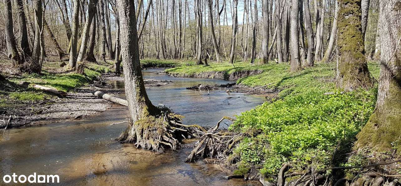 Działka na sprzedaż-6