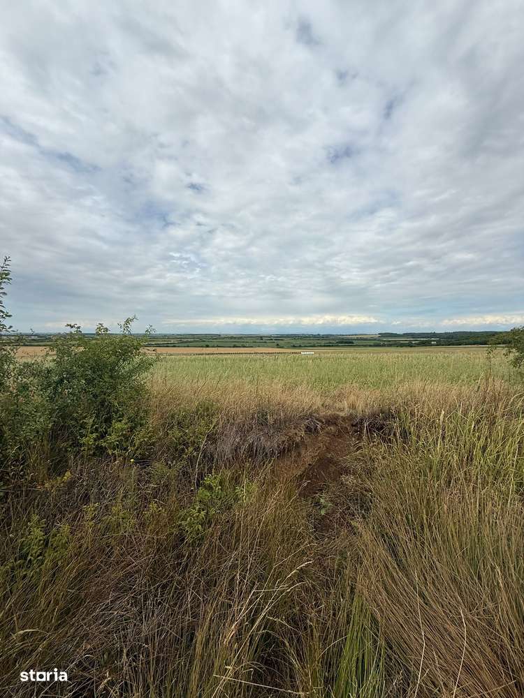 Teren intravilan 2000 mp de vânzare în Ardud, front stradal 36 m-3