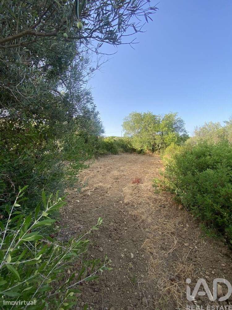 Terreno em Santa Bárbara de Nexe de 2450,00 m2 - Grande imagem: 4/13