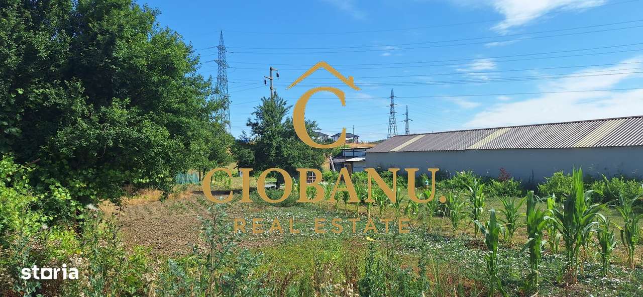 Teren intravilan de vanzare in Isalnita-0