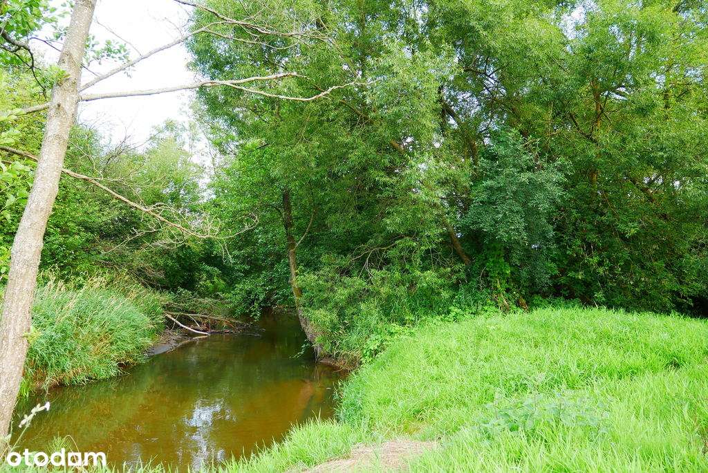 działka budowlana 3100 m2 marzysz ! - Pełny obrazek: 4/7