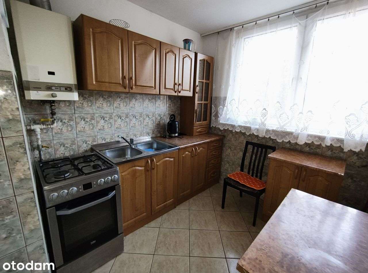 M4 w świetnej okolicy, tuż obok Parku Śląskiego-8