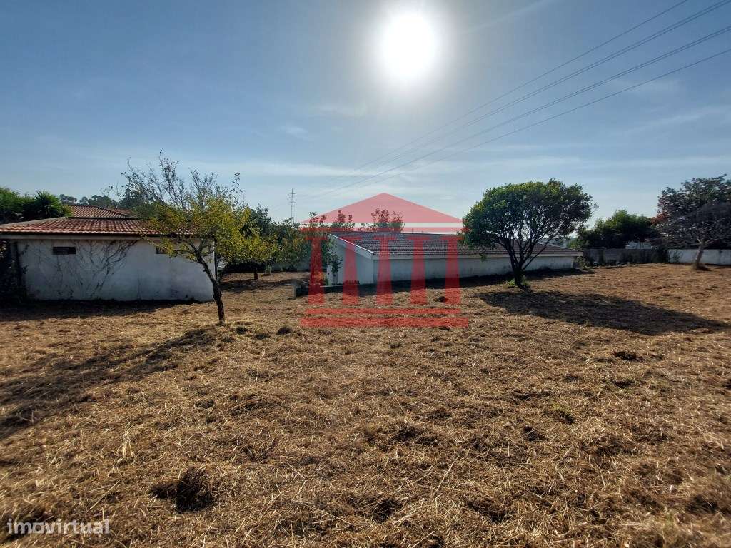 QUINTINHA COM CASA E ANEXOS - AREIAS - BARCELOS-17