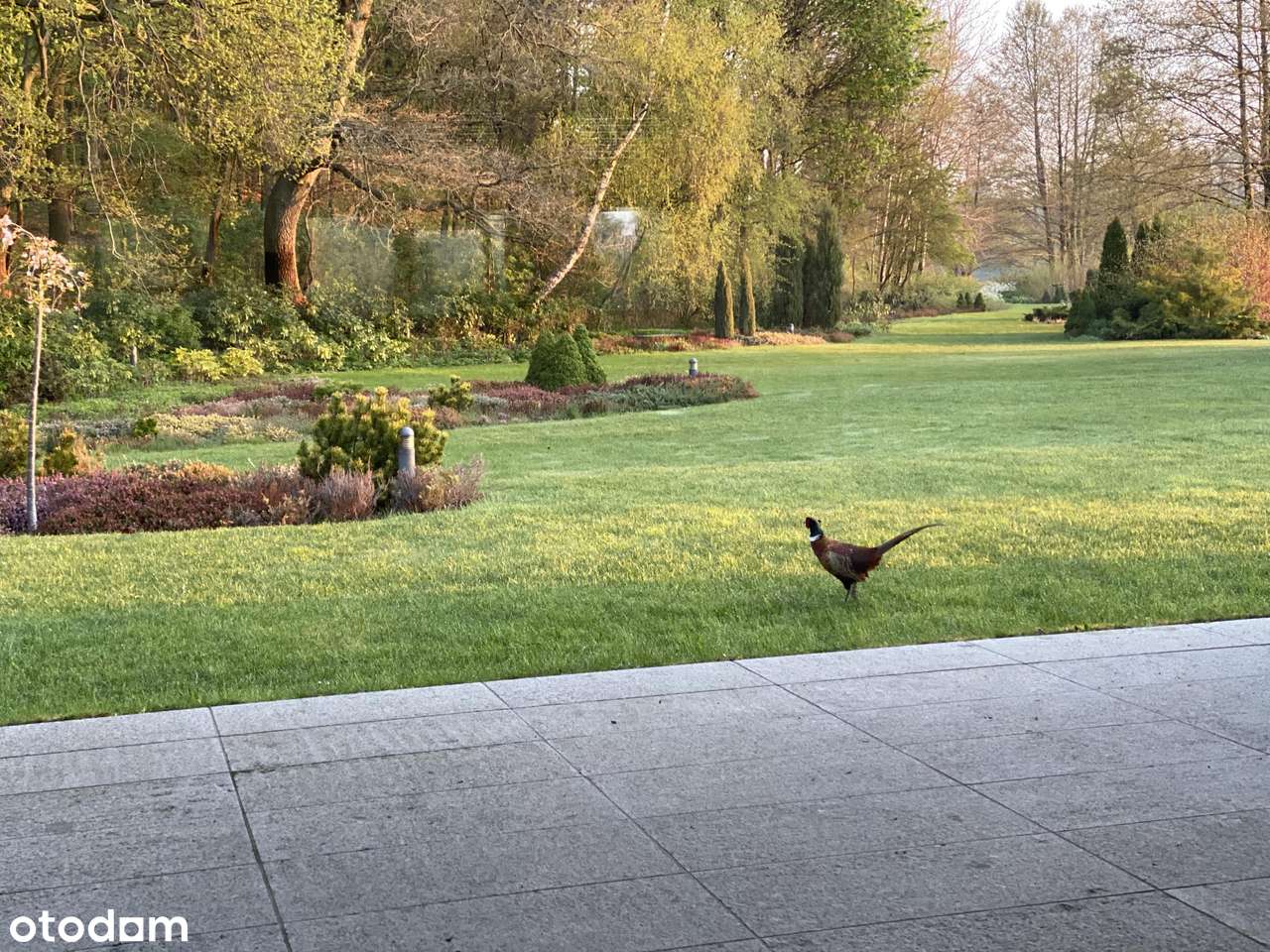 PIĘKNA, UNIKATOWA NA RYNKU POZNAŃSKIM NIERUCHOMOŚĆ-10