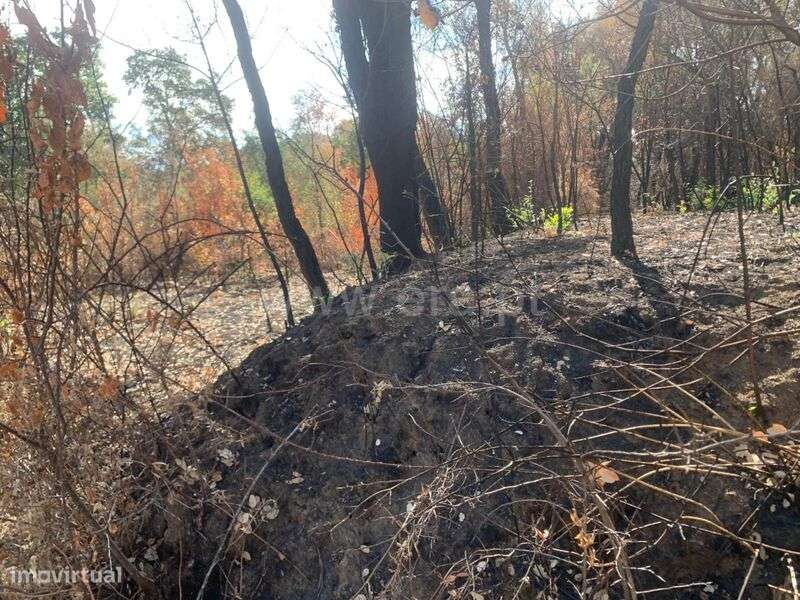 Terreno / Fundão, Freixial - Grande imagem: 5/5