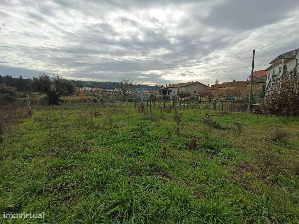 Terreno urbano em Moreira - Nelas - Grande imagem: 5/11