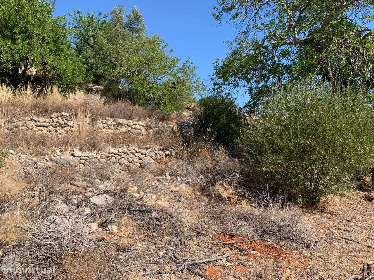 Terreno Urbano, com 3 artigos, Colmeal-16