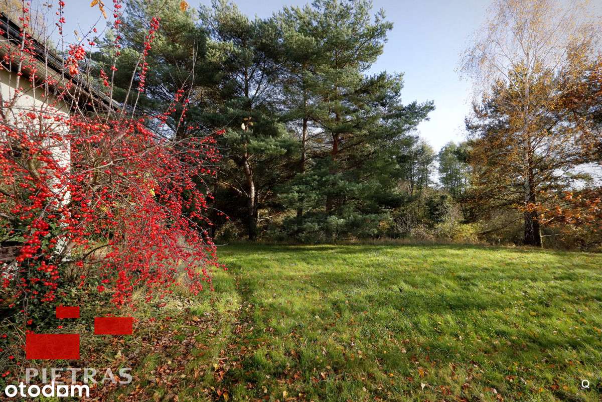 Wyjątkowe Puszcza Zielonka 3 działki z WZ-11