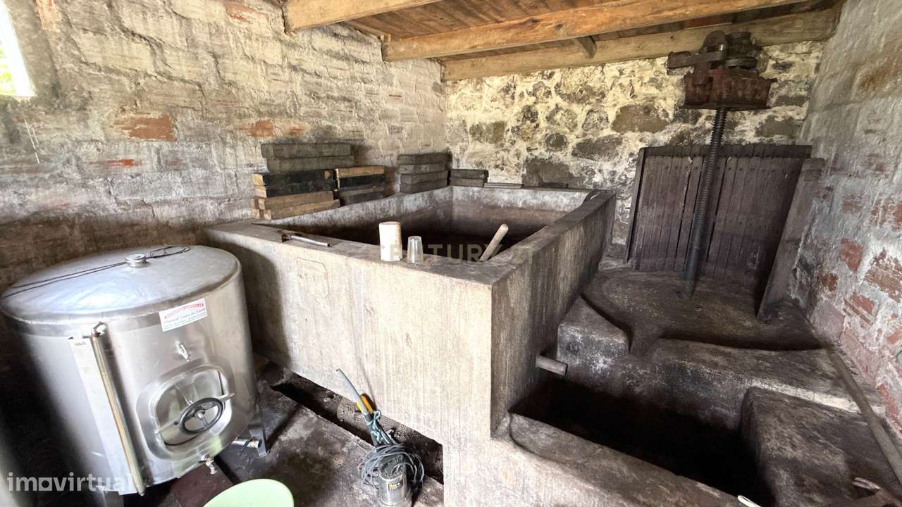 Quinta em Miomães, Resende | Um refúgio rural com cerca de 4 hectares-30