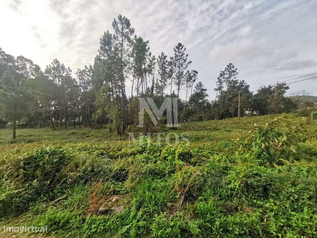 Terreno de construção com ótima localização, para venda, em Vila No... - Grande imagem: 4/7