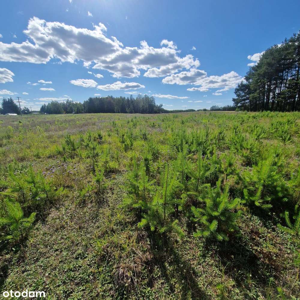 Działka budowlana, Macharce, Płaska, jezioro Serwy - Pełny obrazek: 4/17