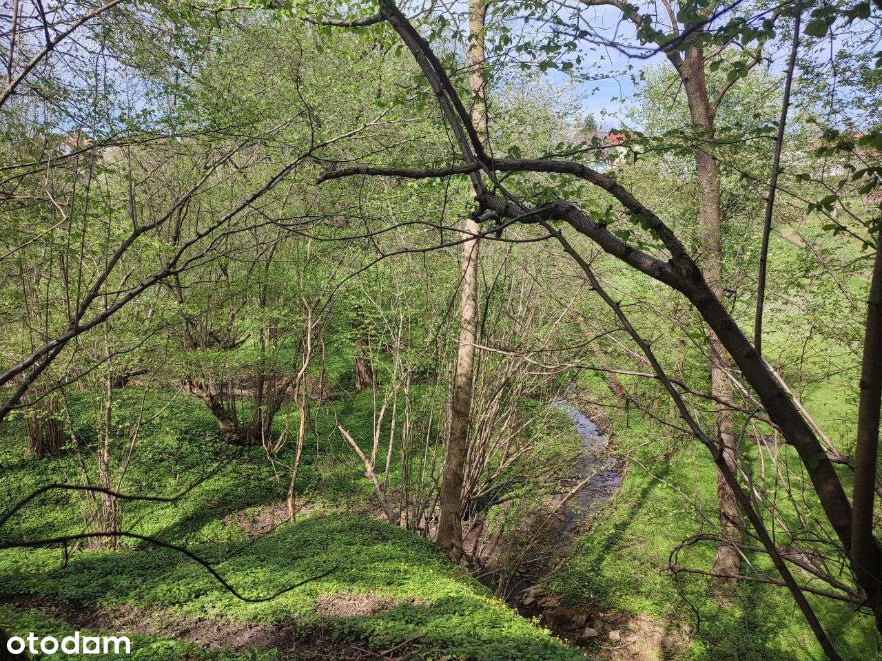 Działka w Pietrzykowiacach-4