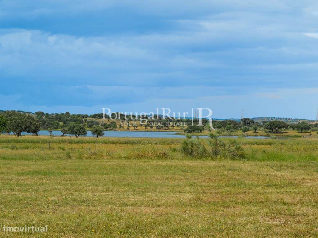 Herdade com 14 hectares na região do Alandroal - Grande imagem: 3/27