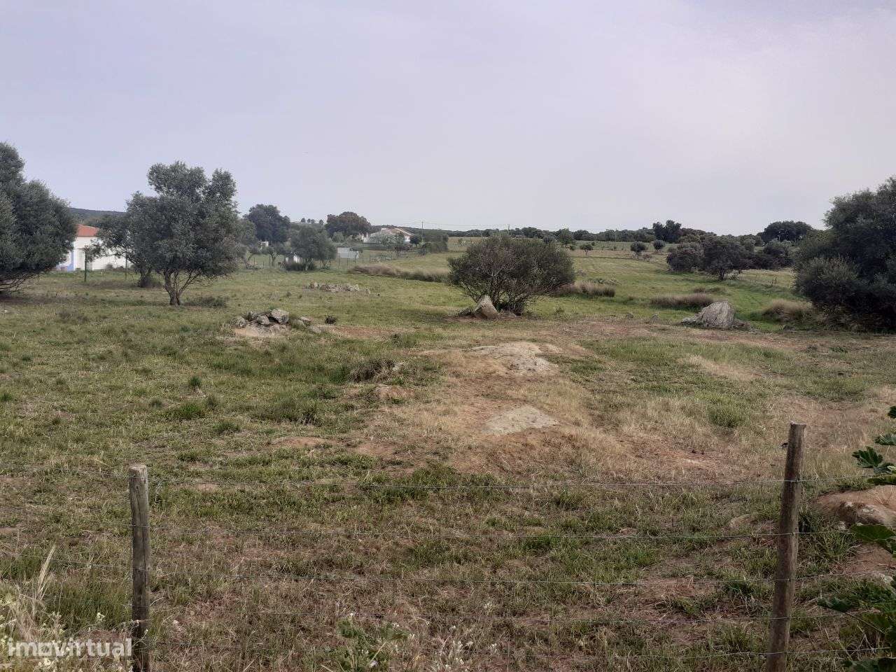 Terreno em São Miguel de Machede - Évora - Grande imagem: 4/6