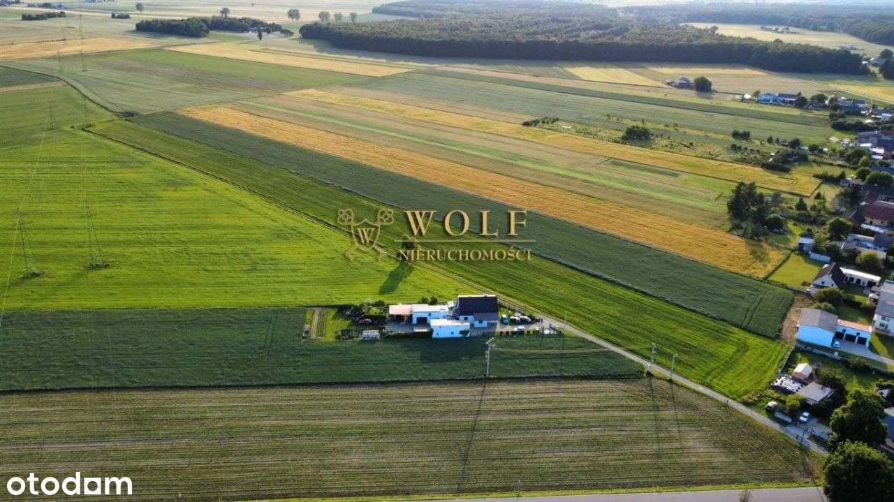 Działka, 19 370 m², Wielowieś - Pełny obrazek: 4/5