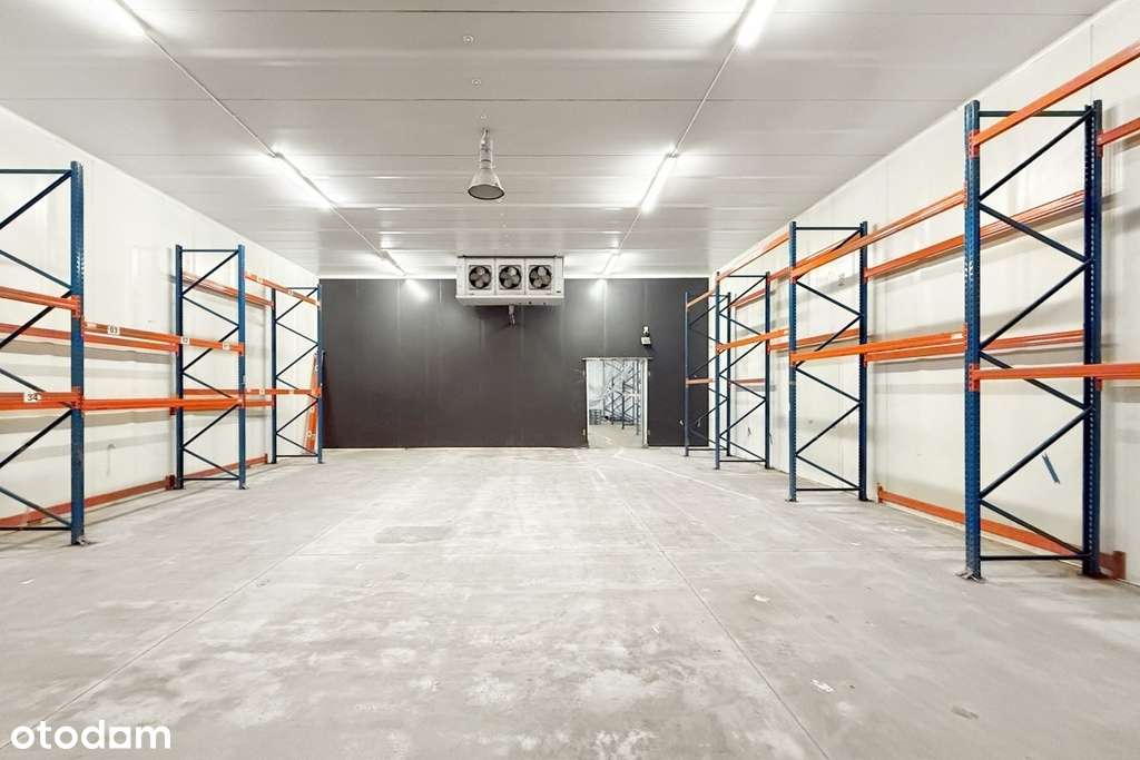 Magazyn chłodnia z biurem i dużym placem. - Pełny obrazek: 4/12