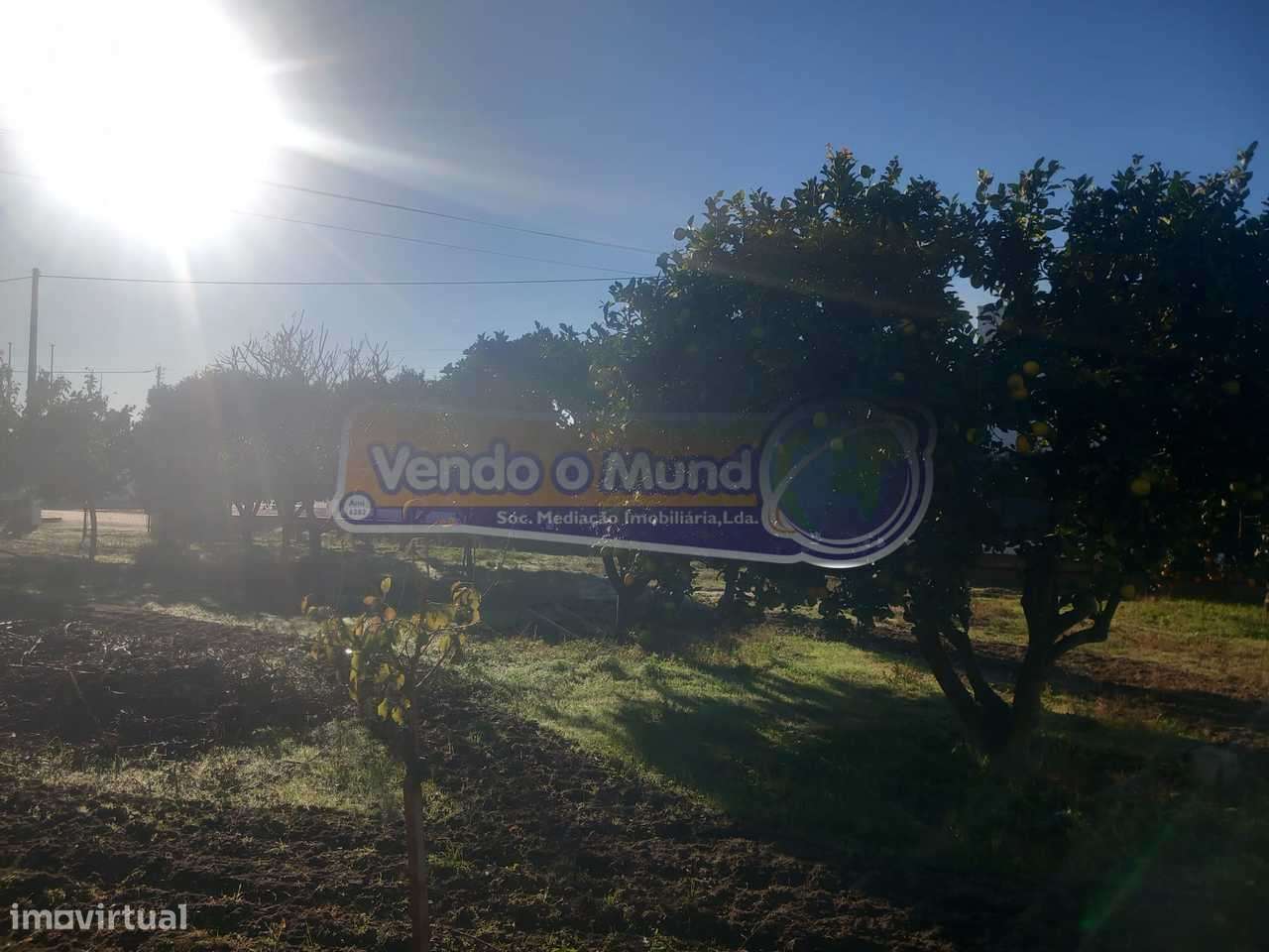 Terreno em Benavente (B625) - Grande imagem: 5/17