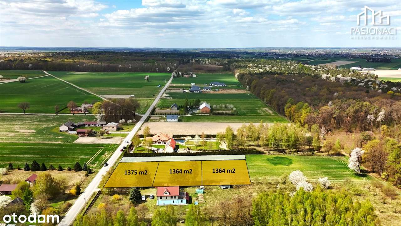 Budowlana działka - Piotrowice, wszytskie media - Pełny obrazek: 3/8