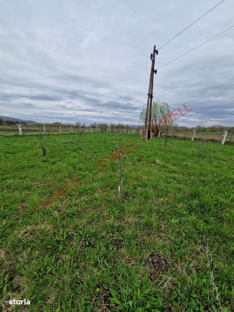 De vânzare teren extravilan în Apața - Imagine principală: 3/3