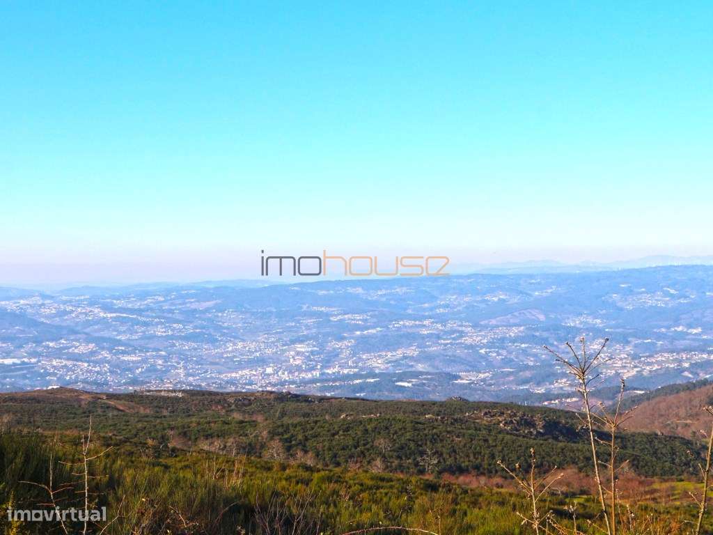 Terreno de 84 hectares-10