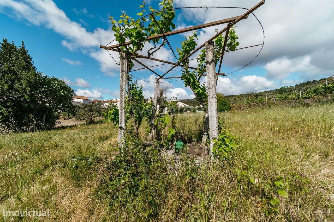 Terreno Rústico / Fundão, Telhado - Grande imagem: 3/3