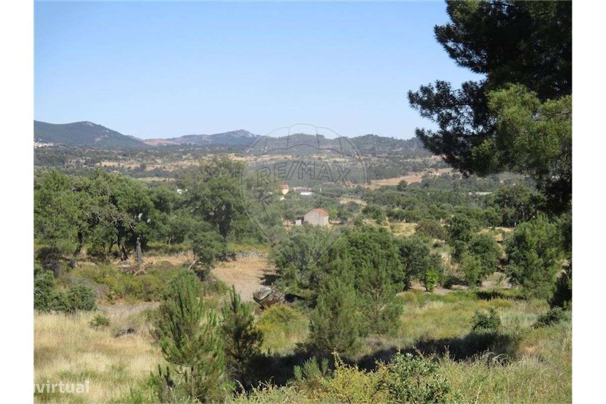 Quinta T0 para venda - Grande imagem: 2/26