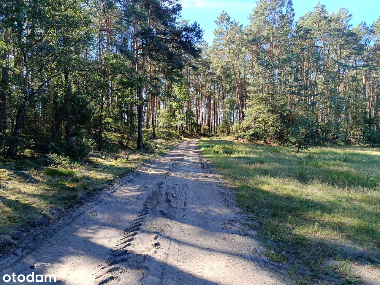 W sercu Puszczy Noteckiej – Chojno Kępiste, raj dla miłośników natury - Pełny obrazek: 5/7