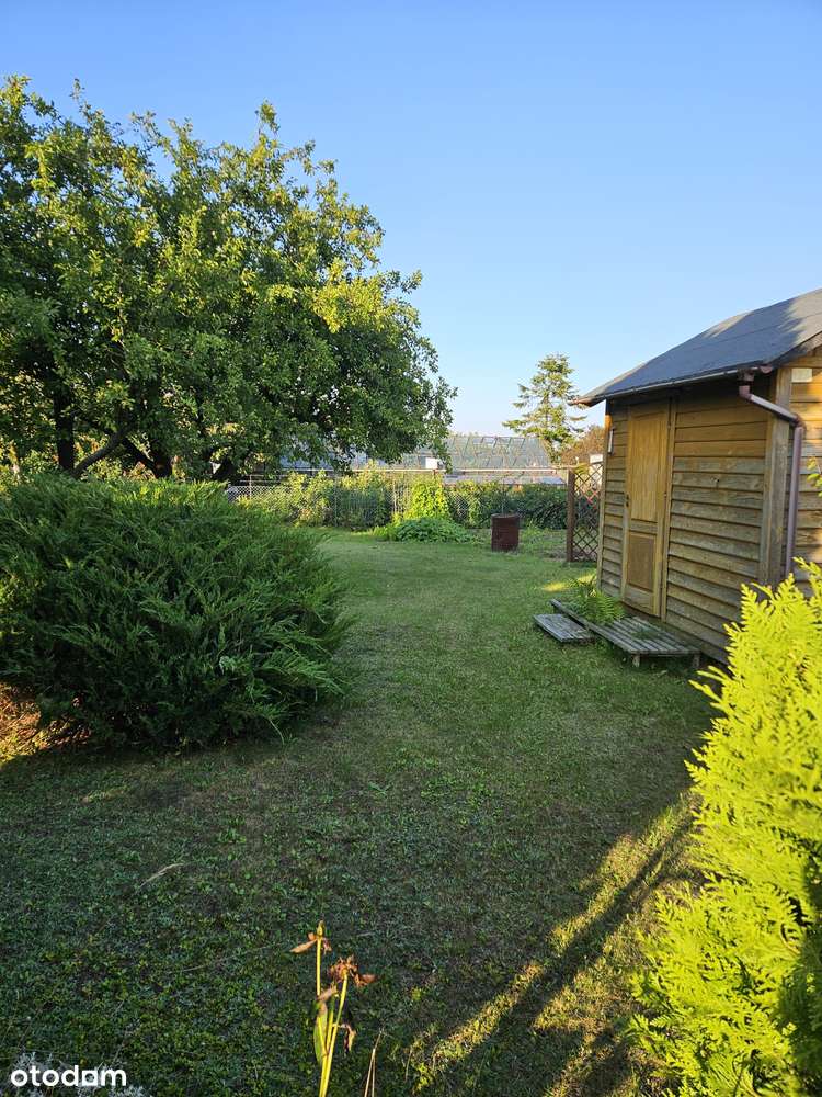 Działka rekreacyjna ROD Obłuże o powierzchni 503 m2 - Pełny obrazek: 5/15