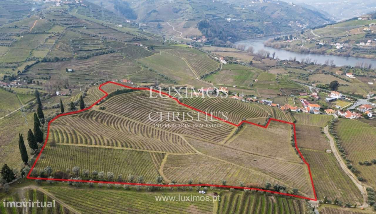 Quinta vinícola à venda no Alto Douro Vinhateiro, Douro Valley - Grande imagem: 5/21