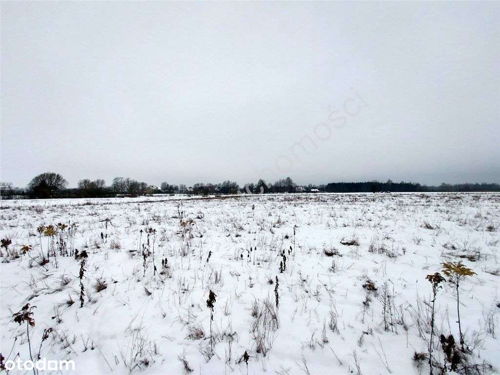 Warunki Zabudowy, Dojazd Asfaltem, Media.-1