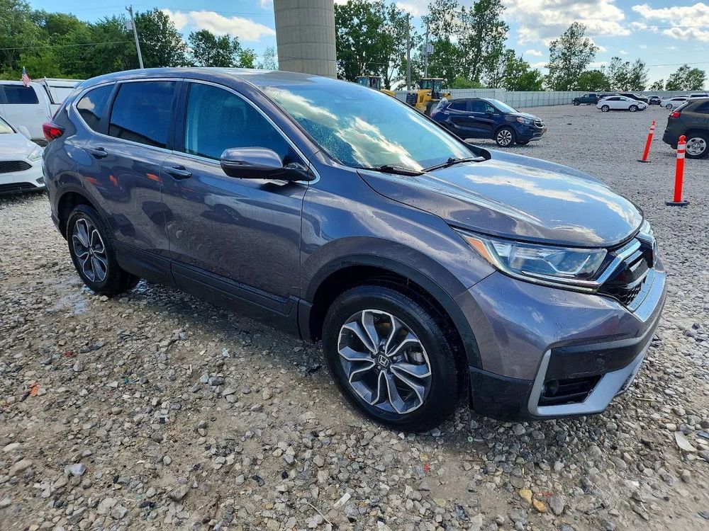 Honda CR-V V (2018-2023) 1.5T 4WD CVT Executive 2022
