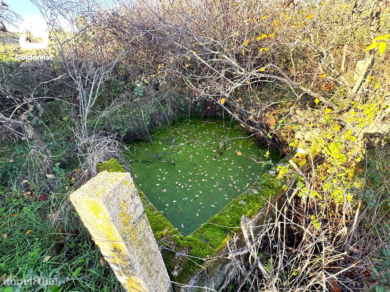 Quintinha  Venda em Escalos de Cima e Lousa,Castelo Branco-11
