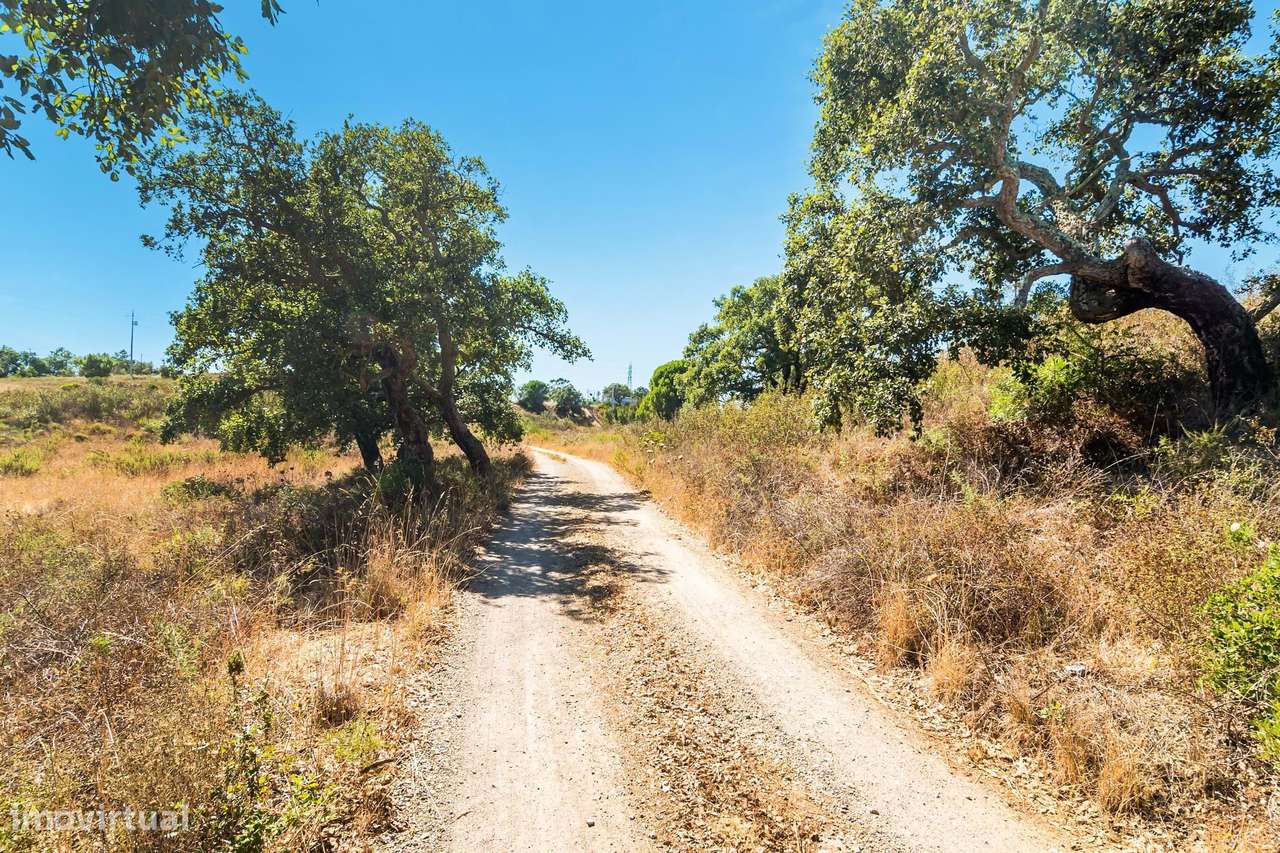 Terreno urbano em São Sebastião (Setúbal) com 17000m2-30