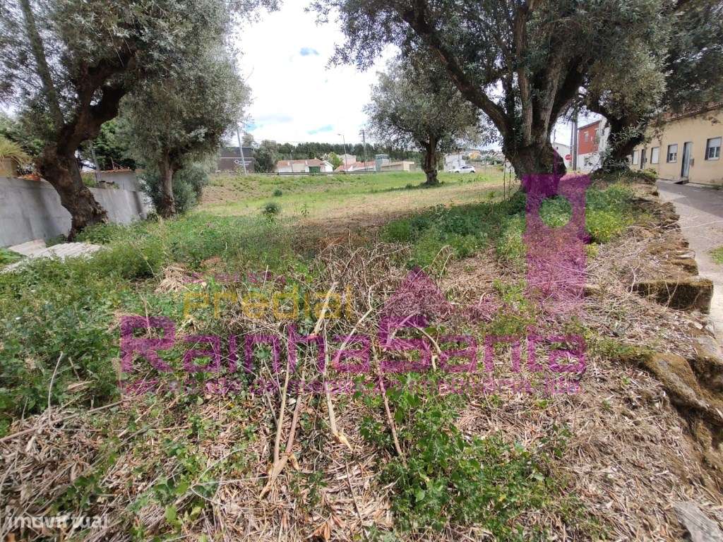 Terreno com informação prévia para moradia - Grande imagem: 5/11