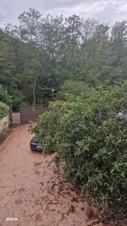 Inchiriere 30 LEI/PAT/ZI -Motel Snagov - Imagine principală: 4/17