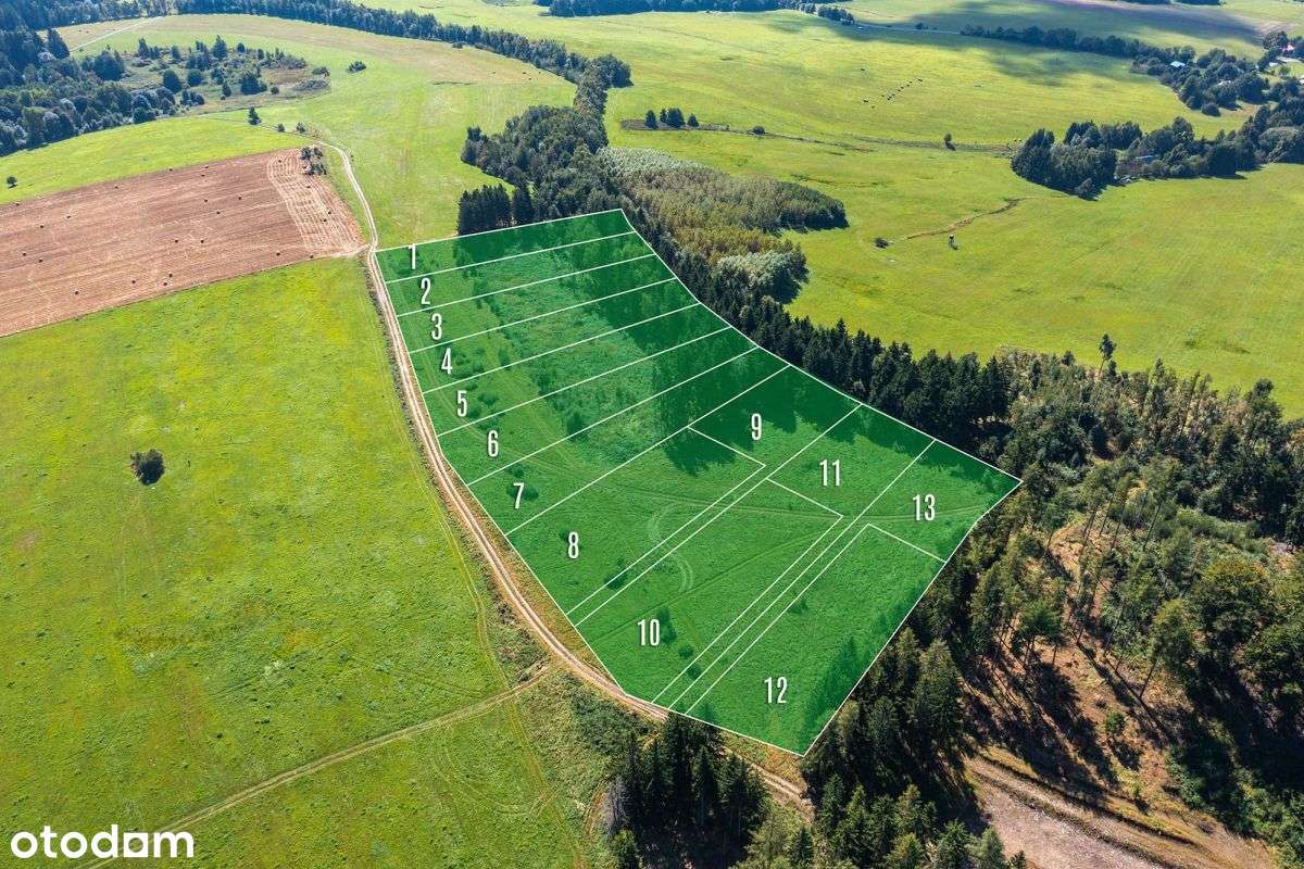 Działka widokowa z własnym lasem - Pełny obrazek: 5/8