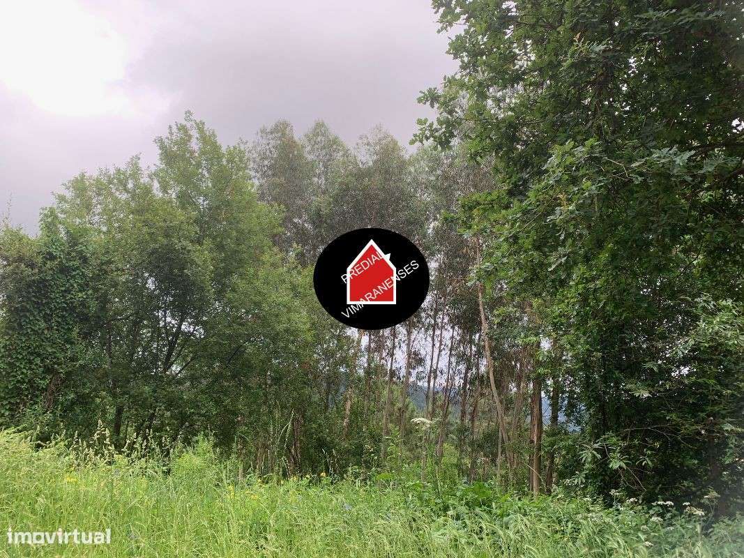 3 Casas + terrenos em Infantas - Grande imagem: 4/14