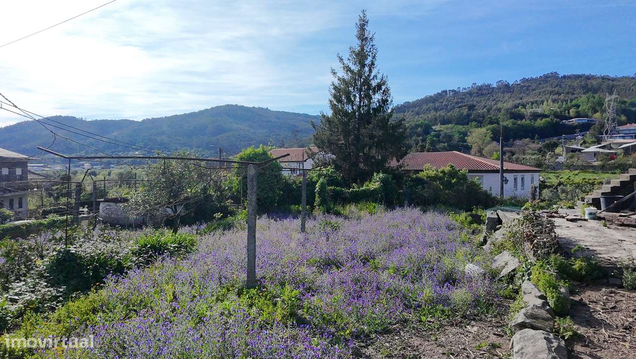 Ruína com Terreno Urbano de 600 m² em Longos – a 10 min de Braga - Grande imagem: 5/15