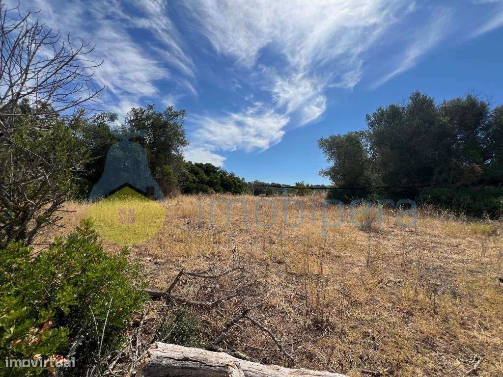 TERRENO COM 3.400m² EXCELENTE LOCALIZAÇÃO A 3KM DA PRAIA - Grande imagem: 4/9