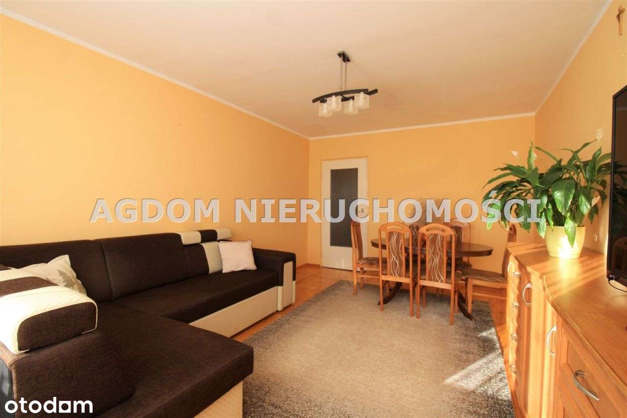 śliczne 65m kw - Chełmica Cukrownia-9