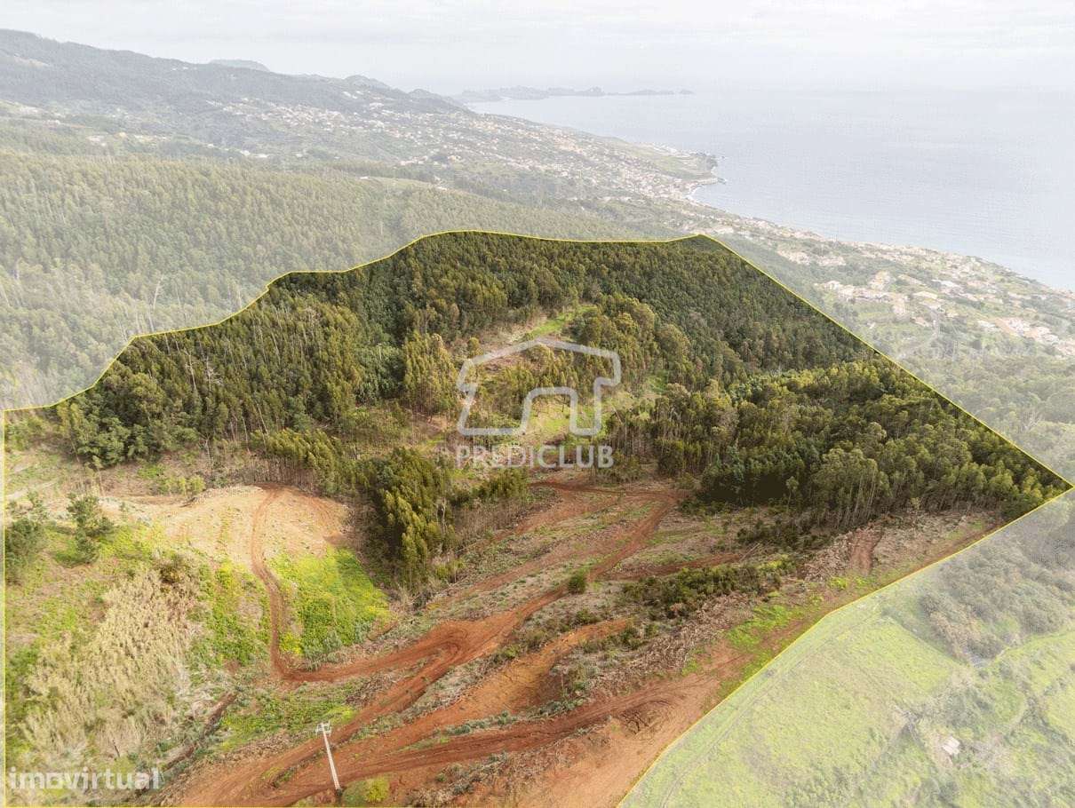 Terreno - Gaula - Grande imagem: 2/15