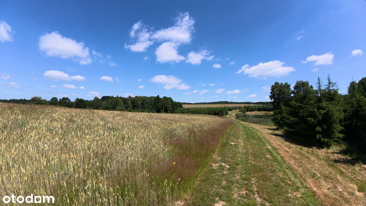 Działka, 61 800 m², Gryfów Śląski-10