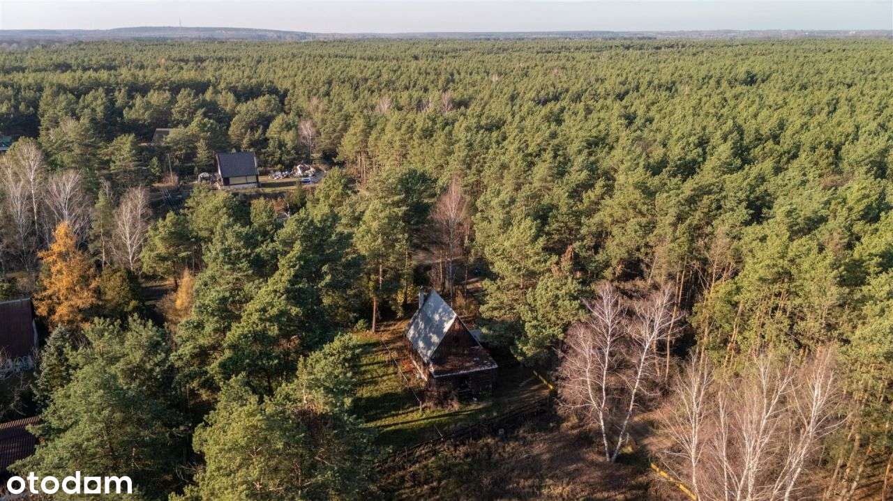 Dom drewniany całoroczny przy lesie Działka 915m-19