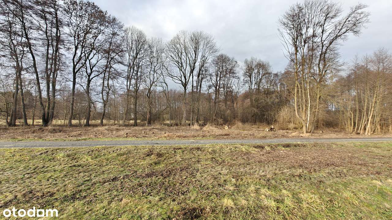 Działka przemysłowa Nowa Sól , 1484m2.-3