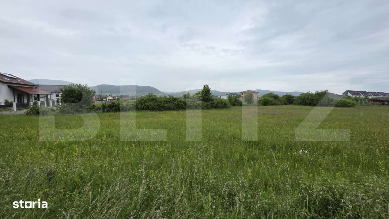 Teren intravilan, 48,3 ari zona Valea Rusului, - Imagine principală: 2/4