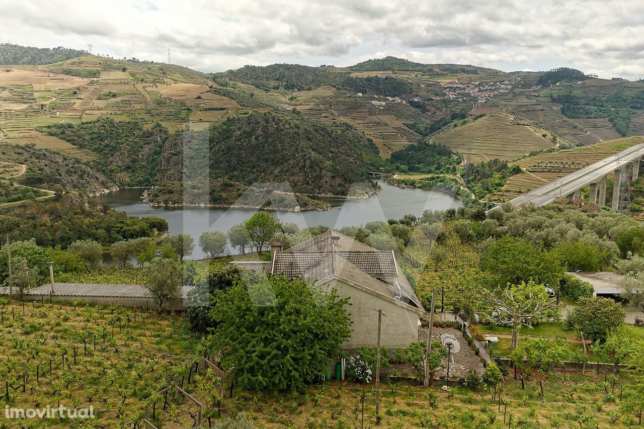 Quinta do Seixo e Quinta das Cortes para venda em Lamego