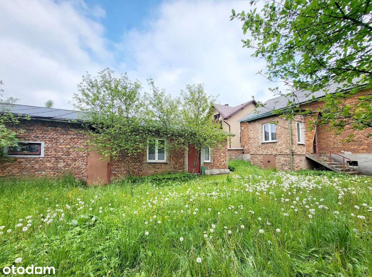 Na sprzedaż dom z dużym potencjałem, działka 5894 m2 - Pełny obrazek: 5/7