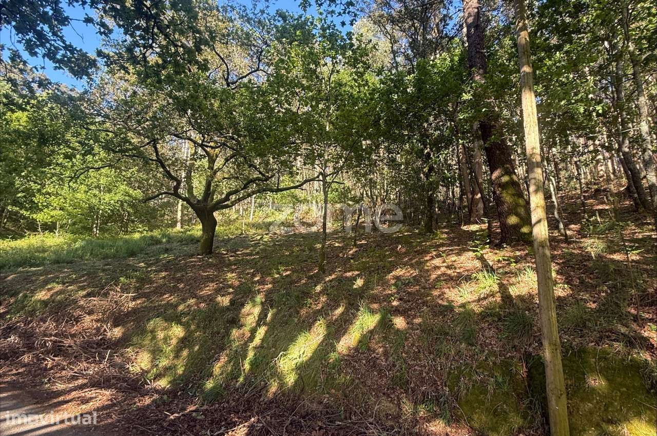 Terreno em Lousada - Grande imagem: 5/13